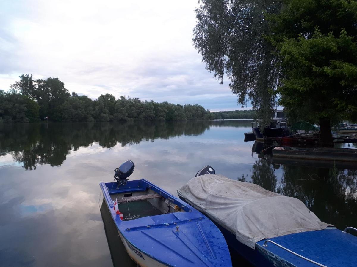 Udicarski Dom Usce Almás Kültér fotó